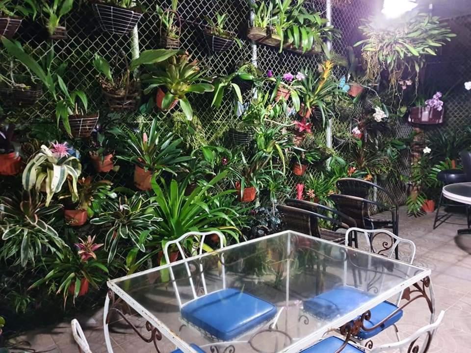 Villa San Antonio - El Valle De Anton 外观 照片